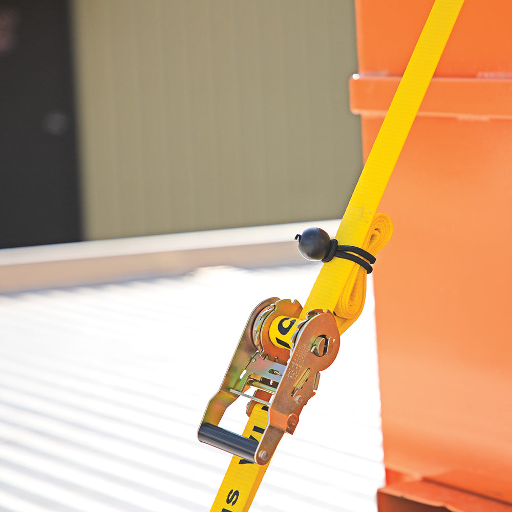 Erickson 2-Pack Bungey Balls