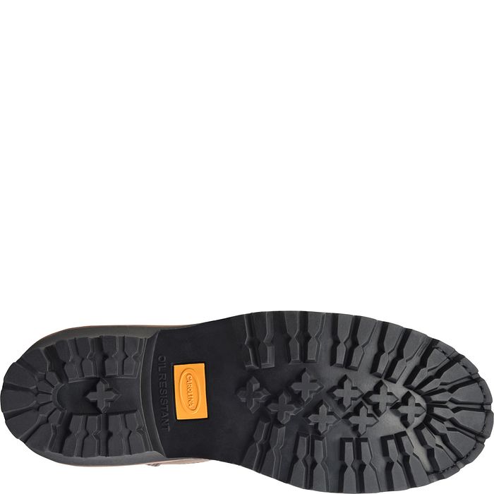 Carolina Spruce #CA9824